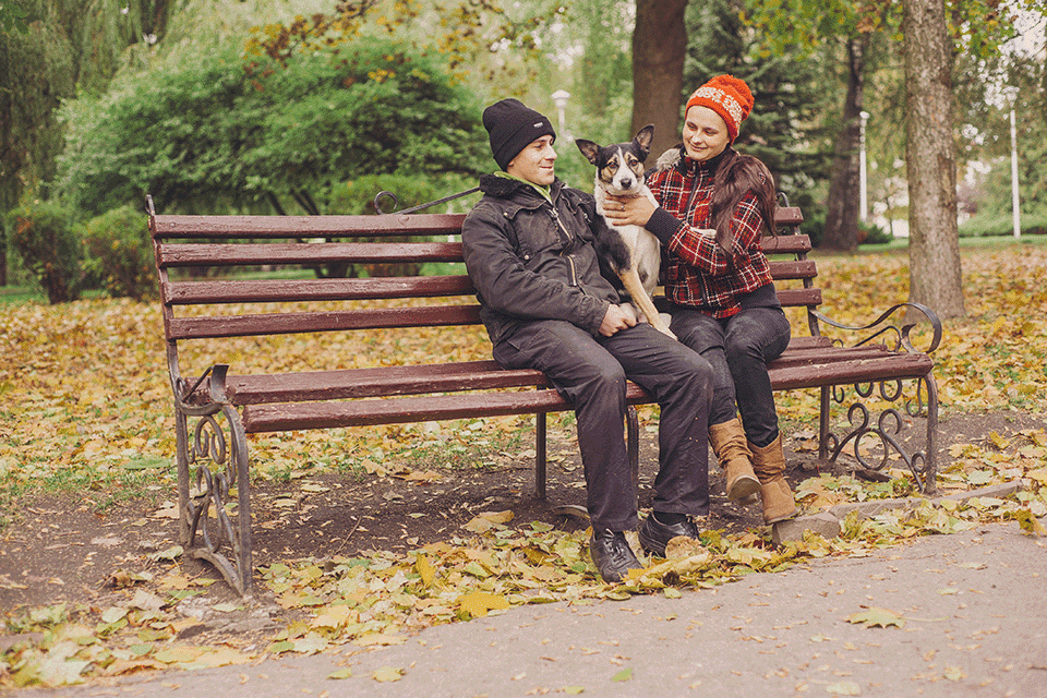 Couple with their Dog sitting on a Park bench on a Fall day